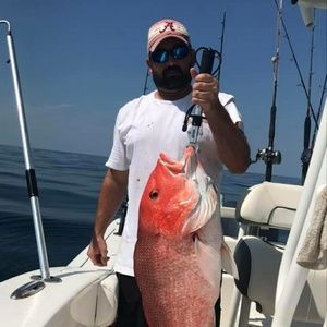 Meet your Posher, Lawrence